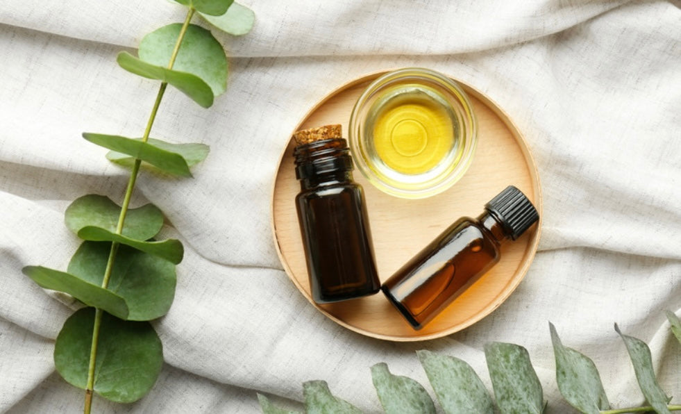 Eucalyptus Essential Oil