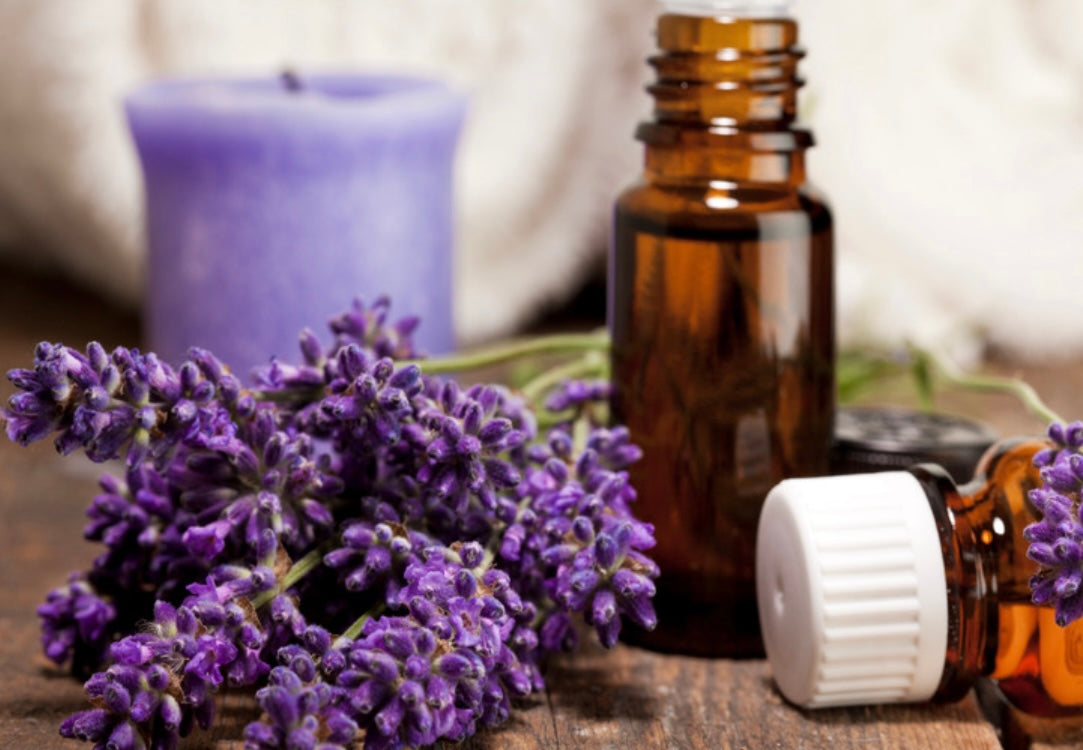 Dream Lavender Essential Oil